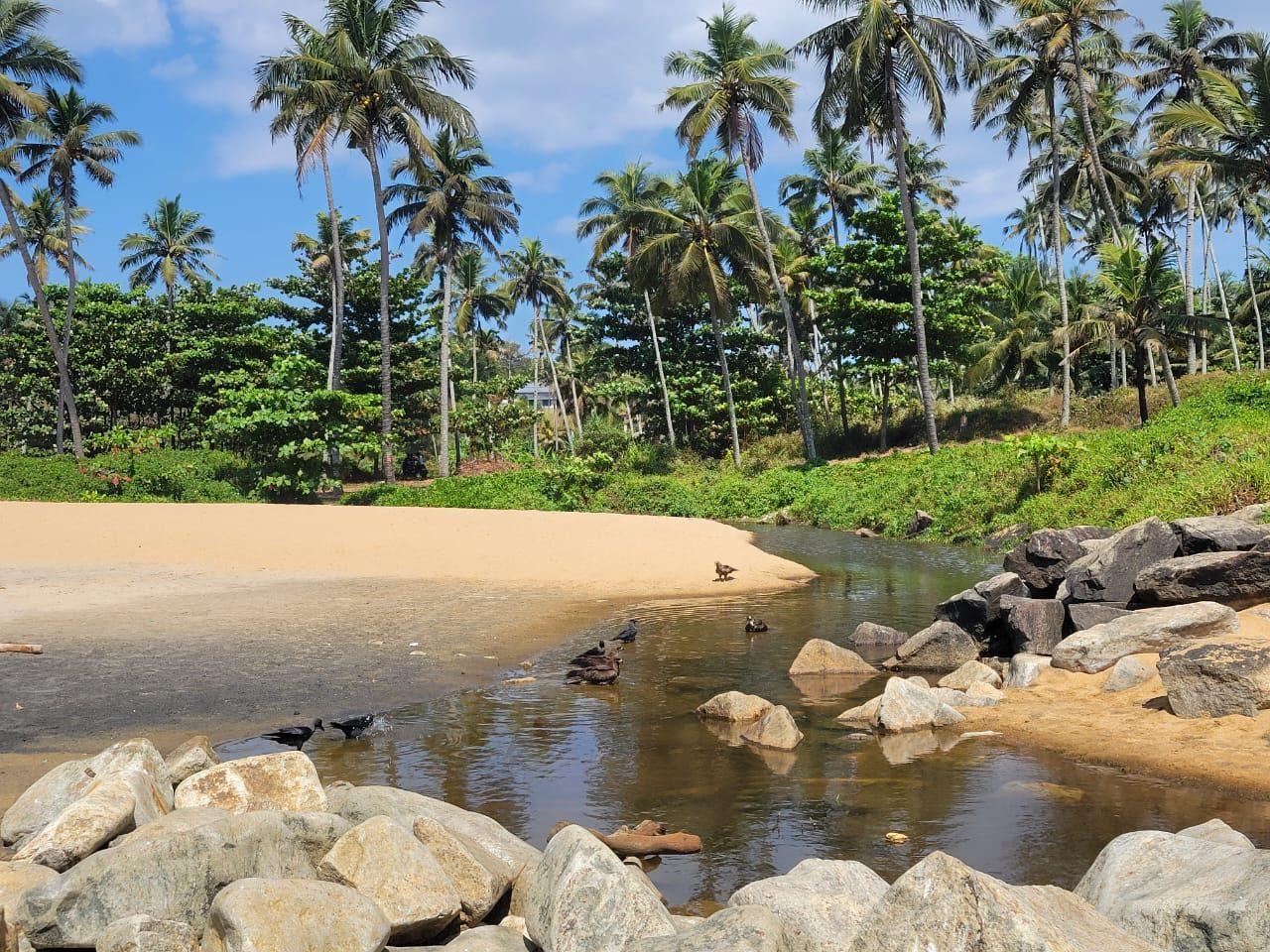 Birds by the rocks and lagoon
