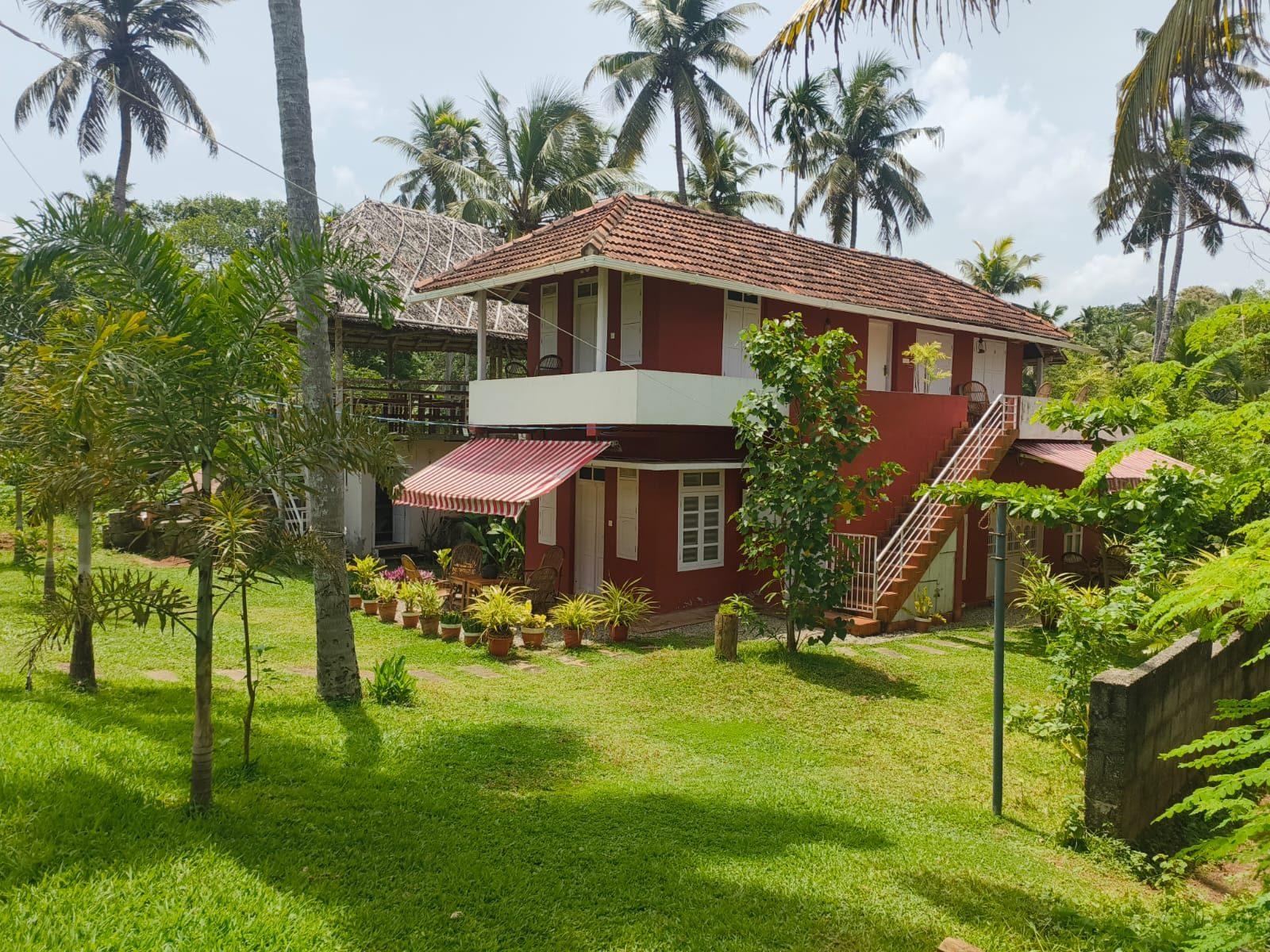 Philosopher's Stone guesthouse among palm trees